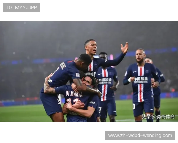 法甲获得欧冠资格球队：法甲获得欧冠资格的球队历史与分析