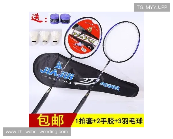 羽毛球球训练器