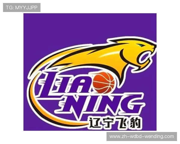 足球迷如何评价CBA球队风格? 足球迷如何评价CBA球队风格?