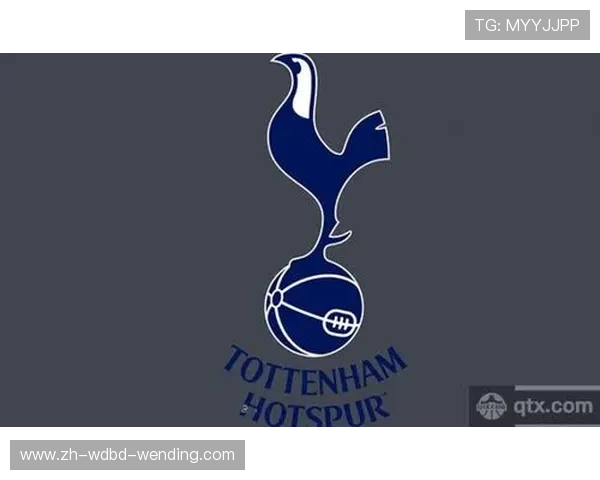 英超球队logo含义：探索英超球队logo背后的象征意义与设计理念