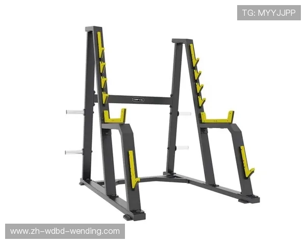 健身器材单页面营销策略：设计元素与转化率优化