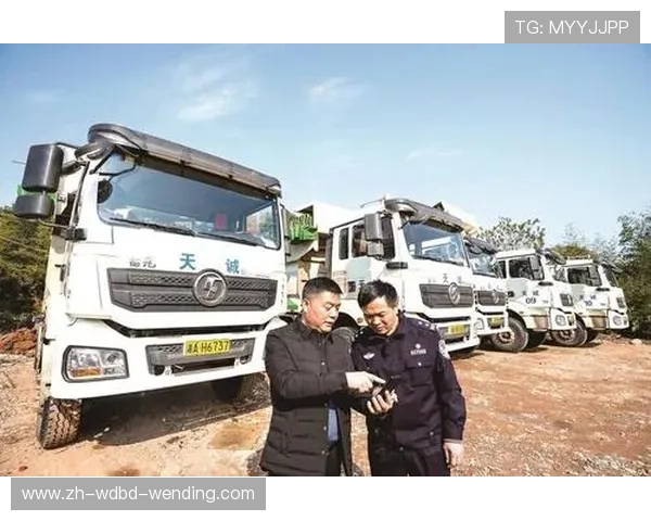 足球黑哨治理路径探析：制度完善与行业自律的二元突破