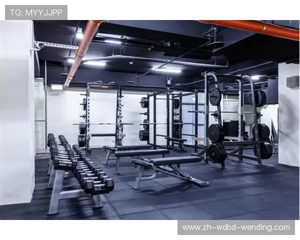 高强度部队体能训练器材选购指南与实战测评